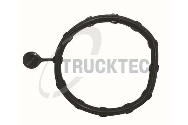 0219346 Trucktec Кольцо уплотнительное кронштейна натяжителя приводного ремня